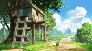 Tree house woods dog laying - the ground next free wallpaper