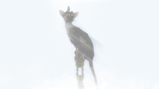 Bird pole snow head turned - its head free wallpaper