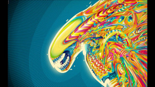 Colorful painting bird large beak - beak free wallpaper for desktop