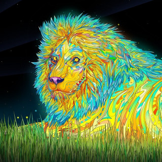 Colorful lion grass night full - psychedelic free wallpaper for tablet