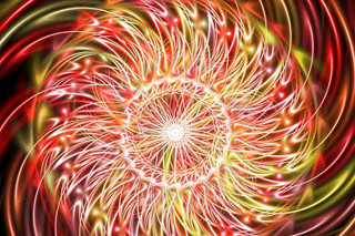 Red yellow flower black background 4 - image of a flower free wallpaper