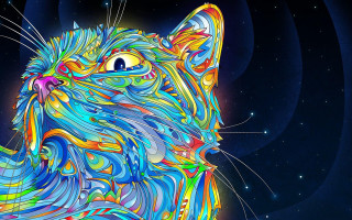 Colorful cat blue background stars 2 - the sky behind free wallpaper