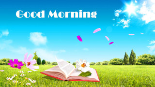 Book lush field flowers butterflies - a lush green field next free wallpaper