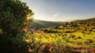 Scenic view valley house flowers - a scenic view of a valley free wallpaper for desktop