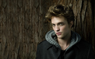 Man scarf serious tree trunk - his neck free wallpaper for desktop