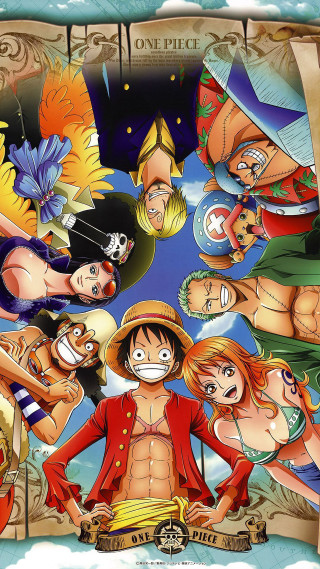 One piece characters group cartoon - visual free wallpaper for mobile