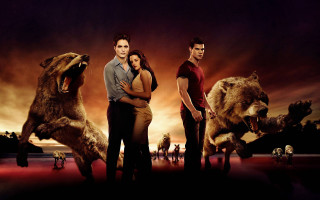 Group people bear movie poster - a bear free wallpaper