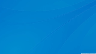 Blue background white bird flying - elizabeth murray free wallpaper