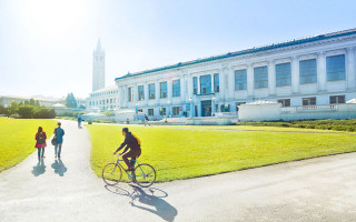 Man riding bike sidewalk green - a sidewalk next free wallpaper
