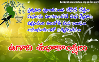 Green bird branch basket bamboo - a green bird free wallpaper