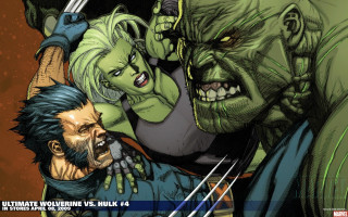 Hulk wolverine fight woman man - a mans face free wallpaper