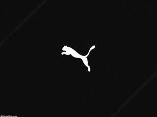 Cat running dark floor dark - a minimalist painting free wallpaper