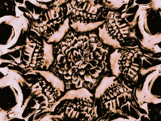 Flower skulls black white red - dan hillier free wallpaper