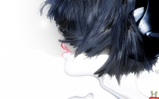 Black mask red nose feathered - hat free wallpaper for desktop