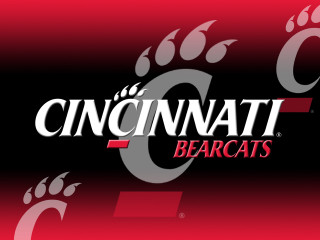 Cincinnati bears baseball team logo - the logo free wallpaper