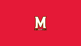 Red yellow m logo pink - madhouse free wallpaper for desktop