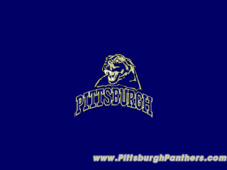 Blue background pittsburgh university bears - logo free wallpaper
