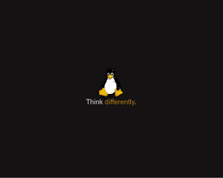 Penguin sitting black surface think - a penguin free wallpaper