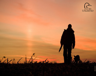 Person dog leash sunset field - arlington nelson lindenmuth free wallpaper