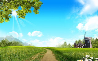 Dirt road lush green field 7 - a lush green field free wallpaper