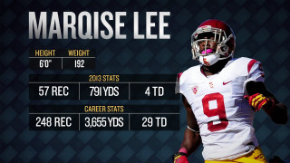 Football player helmet gloves numbers - his face and chest free wallpaper