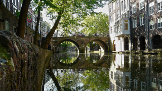 Bridge river tree buildings reflection - adriaen isenbrant free wallpaper