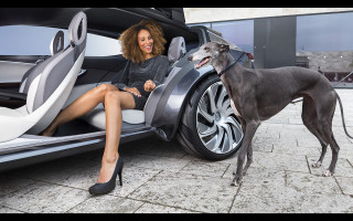 Woman car dog sitting standing - luxury free wallpaper