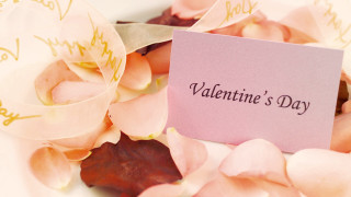 Pink card name flowers petals - free valentines wallpaper