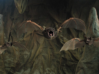 Bats rocky cave matte painting - cricorps grégoire free wallpaper for desktop