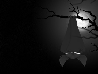 Tree light moon bow black - a moon in the background free wallpaper