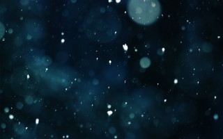 Dark blue snowflakes blurry tree - a blurry photo free wallpaper for desktop