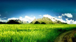 Dirt road green field mountains 2 - a lush green field of grass free wallpaper for desktop