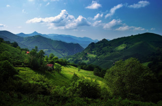 Lush green hillside house mountains - a lush green hillside free wallpaper
