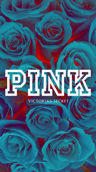 Blue roses pink victorias secret - field free wallpaper for mobile