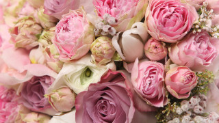 Bouquet pink white flowers tabletop - a bouquet free wallpaper