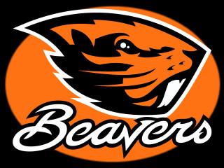 Beaver logo beavers head center - the center of it free wallpaper for desktop