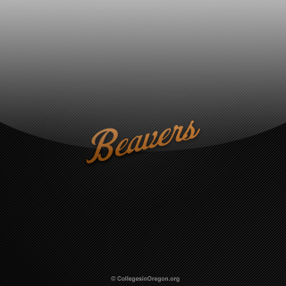 Black gold background beavers side - brenda chamberlain free wallpaper for tablet