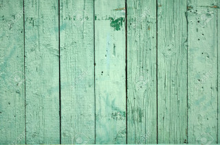 Green wooden wall white frame - a white frame free wallpaper