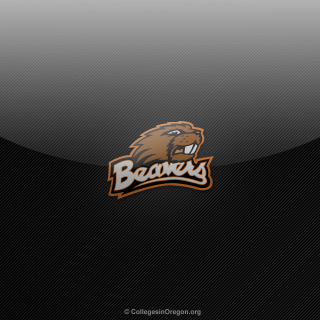 Bear logo black background brown - a brown bear free wallpaper for tablet