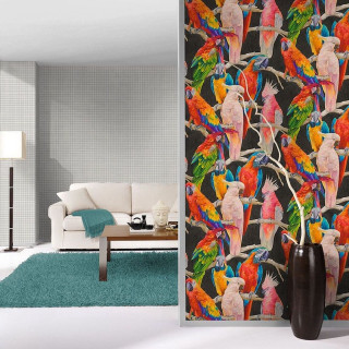 Living room colorful birds couch - colorful bird free wallpaper