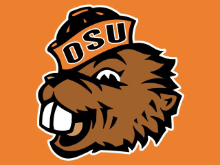 Brown bear hat osu smiling - a smiling face free wallpaper