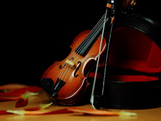 Violin hat table confetti black - daphne mcclure free wallpaper