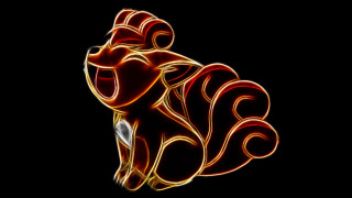 Red yellow animal black background 3 - animal free wallpaper for desktop