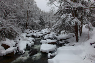 Snowy stream forest rocks trees - free winter wallpaper