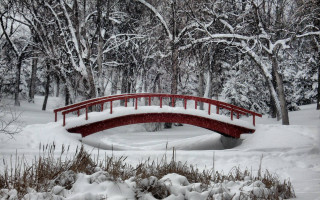 Red bridge snowy park pond 2 - tree and bushes free wallpaper
