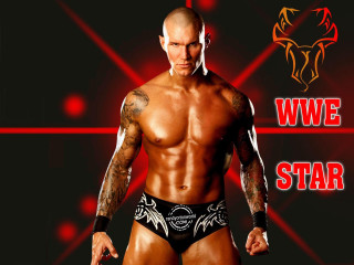 Man tattoo wrestling belt chest - a tattoo free wallpaper for desktop