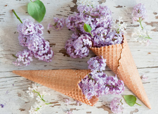 Ice cream cones lilacs flower - erin hanson free wallpaper