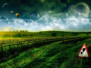 Field sign balloons sky dog - balloon free wallpaper for desktop