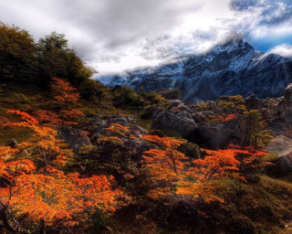 Mountain trees rocks cloudy sky - landscape free wallpaper