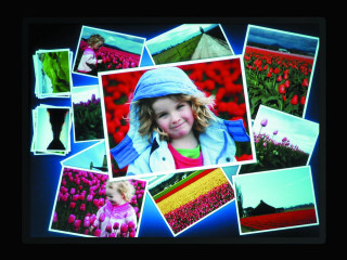 Girl field flowers tulips blue - a blue hat free wallpaper for desktop